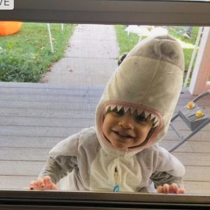Shark Costume